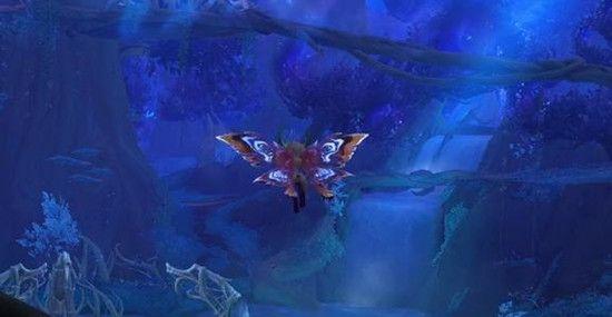 网络开发工程师具体做什么