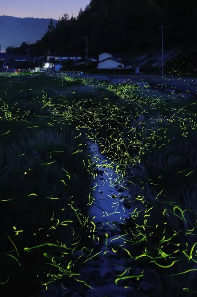 《繁花》带火沪语,方言里的电视剧“滋味”足